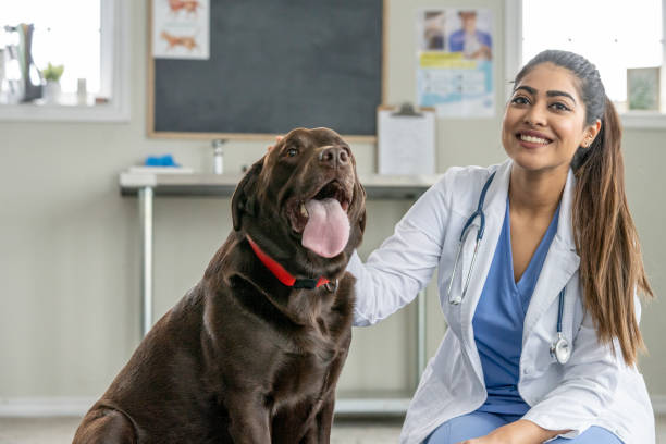 istock Female Veterinarian with a Puppy 1443406919