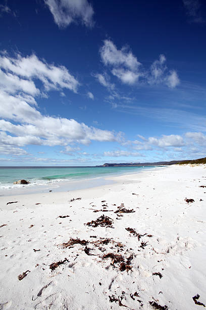 istock perfect white sand at friendly beach  tasmania 144340719