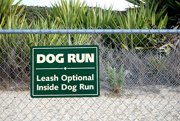 Dog Run stock photo