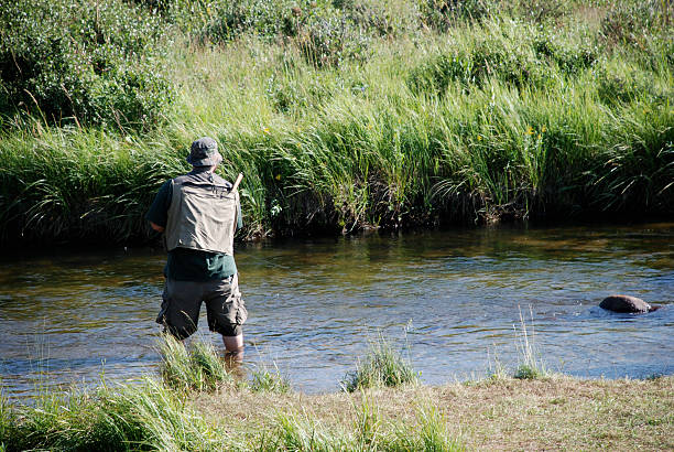 fly fisherman in der big thompson river - big thompson river stock-fotos und bilder