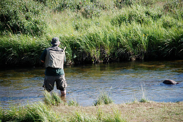 pêche à la mouche dans la rivière big thompson - big thompson river photos et images de collection