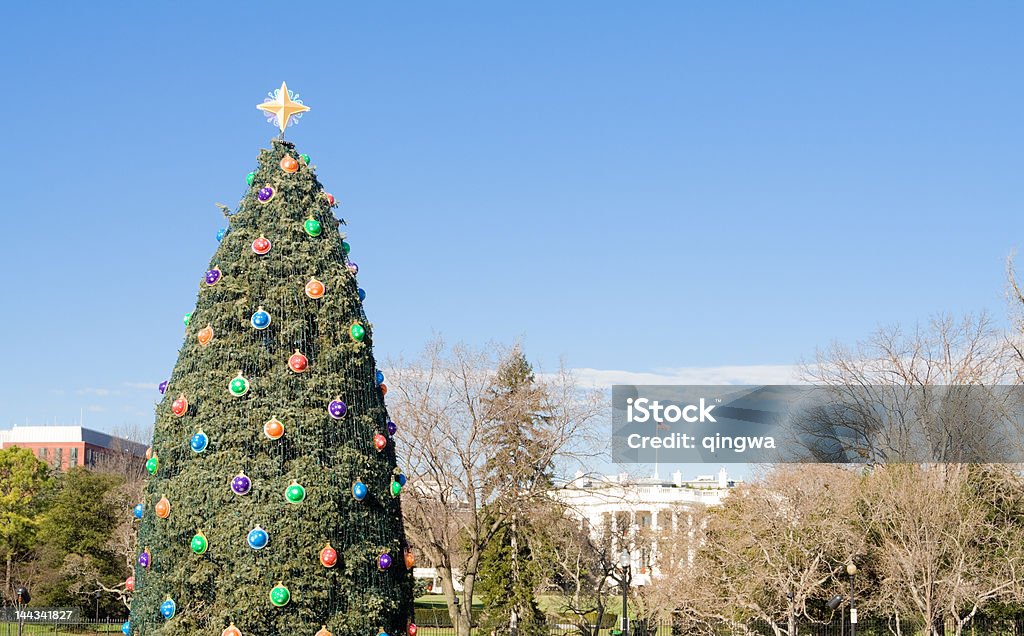 National Christmas Tree vor weißen Haus in Washington, DC - Lizenzfrei National Christmas Tree Stock-Foto