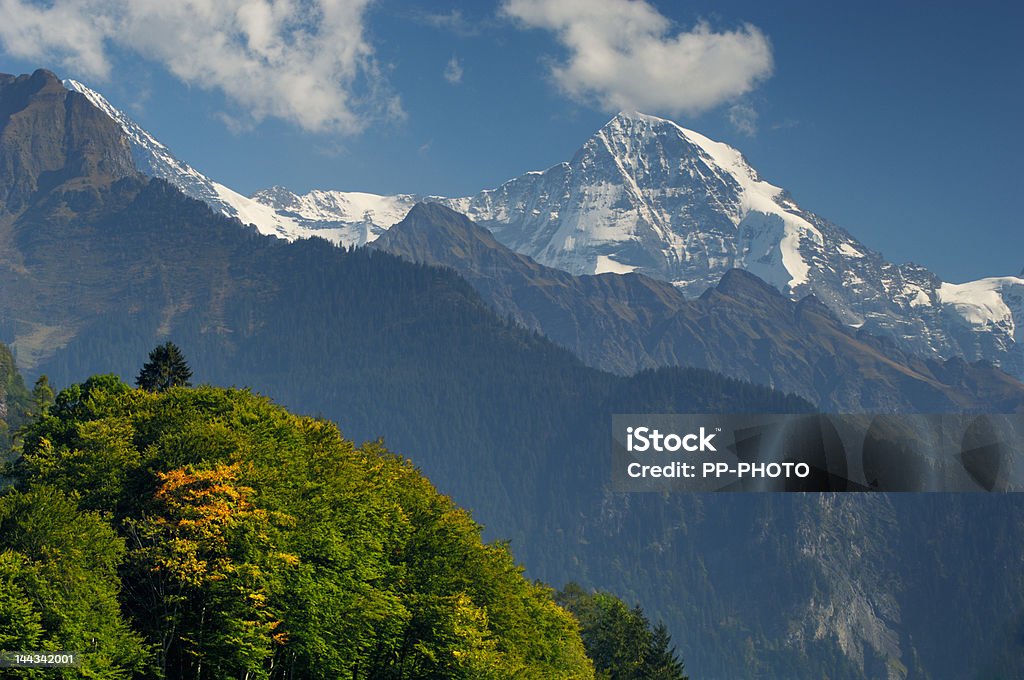 스위스 알프스 가까운 인터라켄 - 로열티 프리 0명 스톡 사진