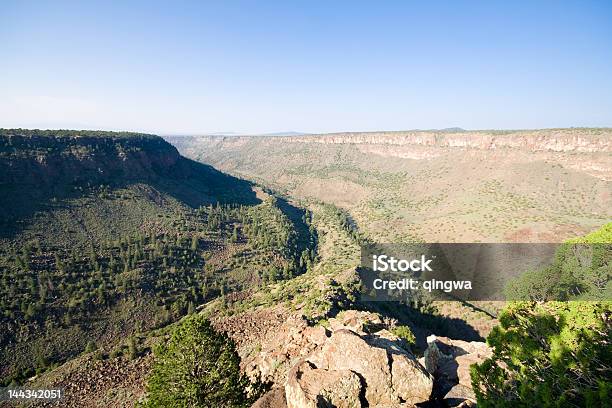 Dois Ramos De Rio Grande Do River Gorge Reunião Novo México - Fotografias de stock e mais imagens de Ao Ar Livre