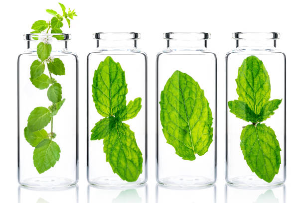 istock Bottles of essential oil with mint isolated on white background. 1443421493