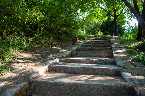 Stone stairs in the summer forest