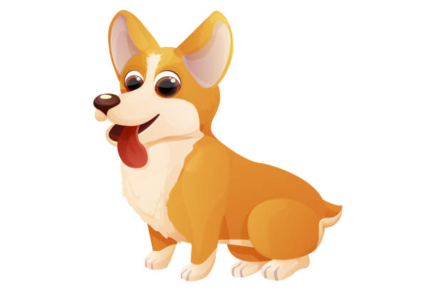 istock Cute corgi dog sitting, adorable pet in cartoon style isolated on white background. Comic emotional character, funny pose. Vector illustration 1443425731