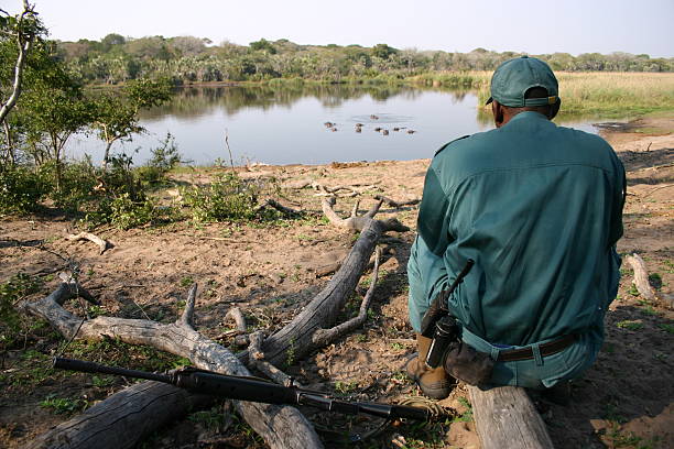 kruger national park, South Africa- September 2018; a tourists group walking in the kruger national park with an experienced guide