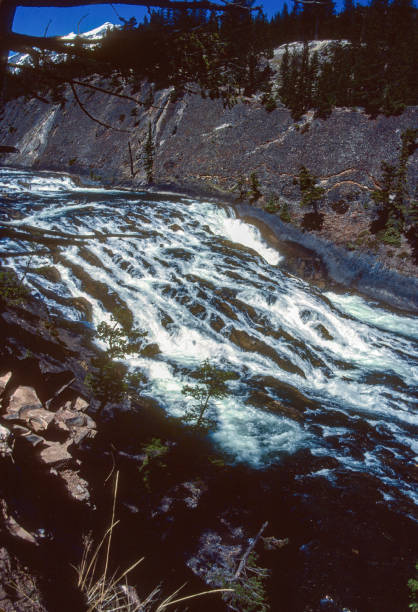 istock Banff National Park - Bow Rapids Vertical - 1985 1443429781