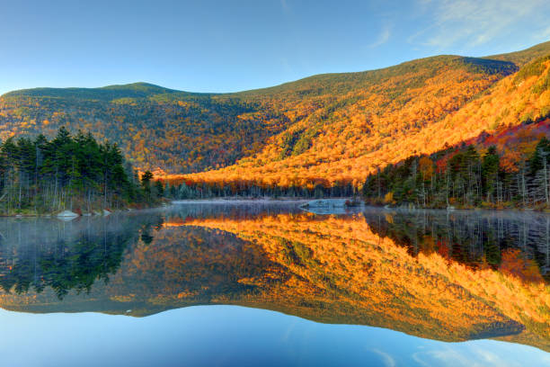 istock Beaver Pond in the White Mountains 1443430408