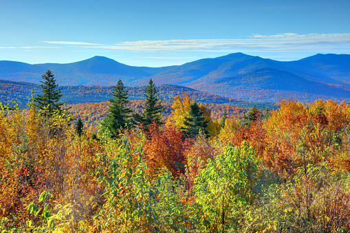 Aerial view of Mountain Forests with Brilliant Fall Colors in Autumn at Sunrise, Adirondacks, New York, New England