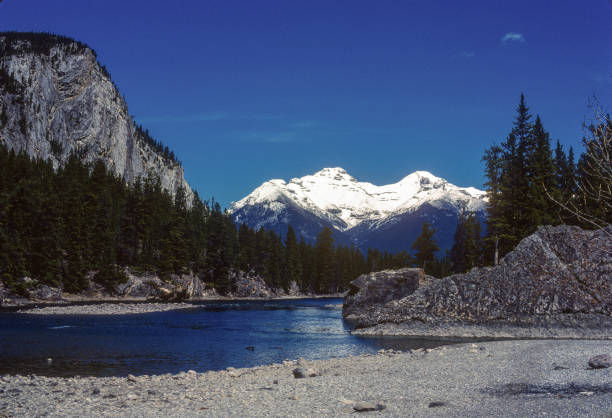 istock Banff National Park - Mountain Stream - 1985 1443430650