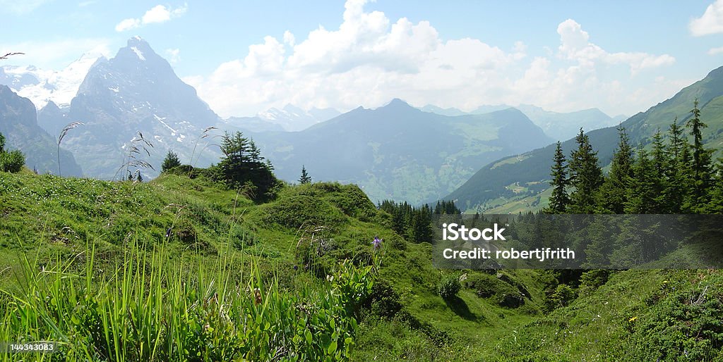 Üppige Alpine Valley - Lizenzfrei Alpen Stock-Foto