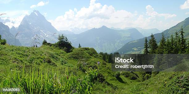 Üppige Alpine Valley Stockfoto und mehr Bilder von Alpen - Alpen, Anhöhe, Baum