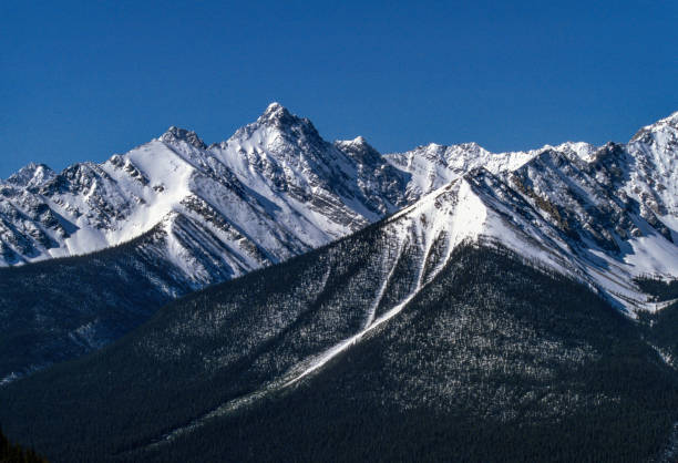 istock Banff National Park - Snowy Peaks - 1985 1443431681
