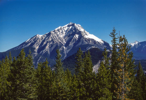 istock Banff National Park - Cascade Mountain & Forest - 1985 1443431728