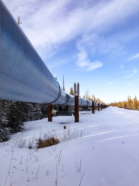 istock Winter snow around the trans Alaska pipeline 1443431807