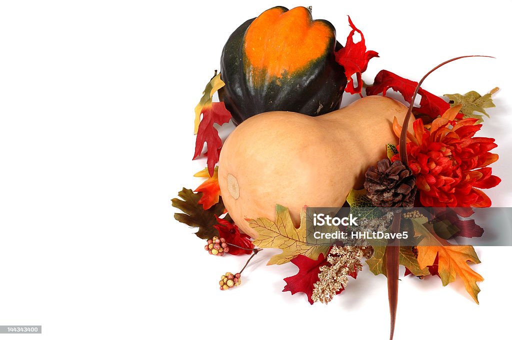 Moschus und acorn squash im Herbst Einstellung - Lizenzfrei Acorn-Kürbis Stock-Foto