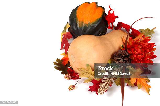 Moschus Und Acorn Squash Im Herbst Einstellung Stockfoto und mehr Bilder von Acorn-Kürbis - Acorn-Kürbis, Agrarbetrieb, Blatt - Pflanzenbestandteile