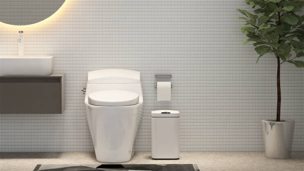 modernes und luxuriöses designbad mit waschtisch, waschbecken, weißer keramik-toilettenschüssel, rostfreiem toilettenpapierrollenbügel und topfgeigeblattfeige in weißer mosaikwand und granitboden - fig leaf stock-fotos und bilder