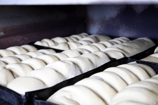 The dough laid for the bread is suitable and ready for baking. High quality 4k footage