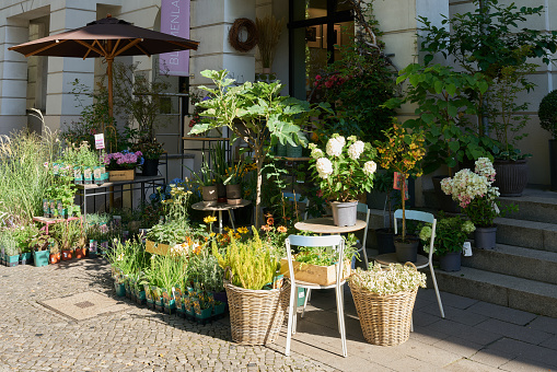Berlin, Germany - September, 10, 2022: Flower store in a quiet street in the center of Berlin