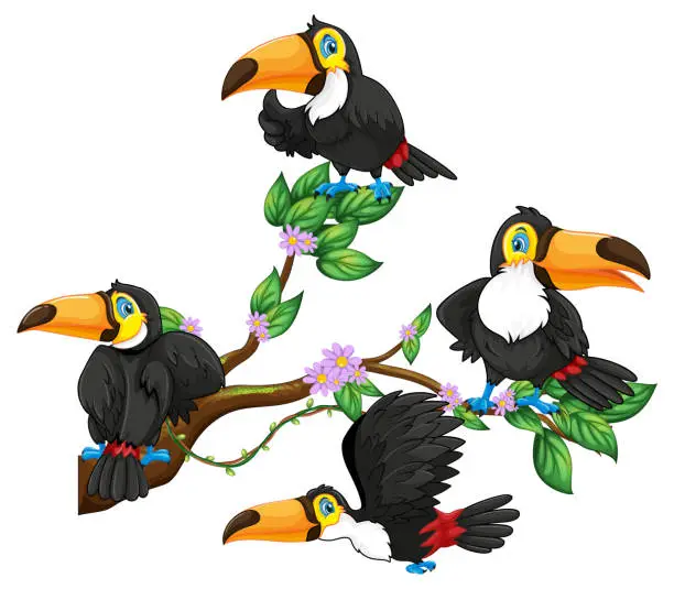 Vector illustration of Toucan bird on a tree branch