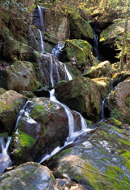 cascata - flowing rock national park waterfall foto e immagini stock