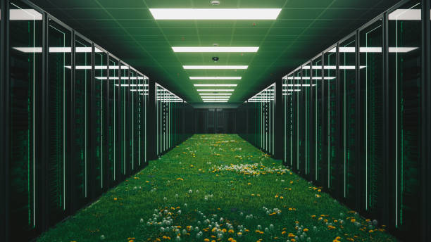 clean energy green server room - data center imagens e fotografias de stock