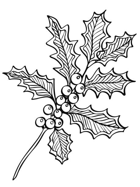 Berry branch line art illustration vector art illustration