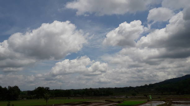 fondo natural de cielo bkue con nubes blancas con arrozal en el pueblo - 24248 fotografías e imágenes de stock