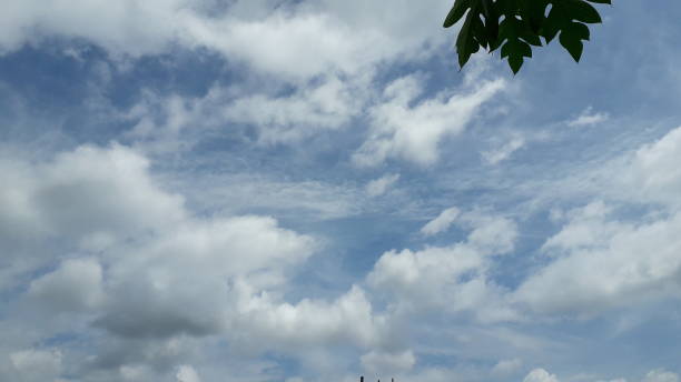 belo fundo de céu azul com nuvens brancas - 24239 - fotografias e filmes do acervo