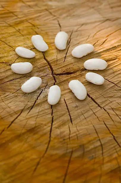 white beans on the wooden stump