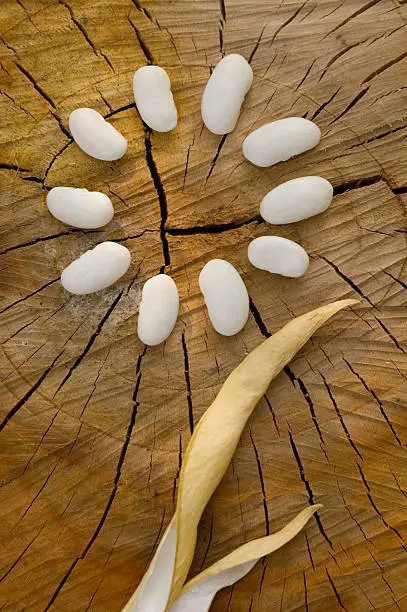 white beans on the wooden stump