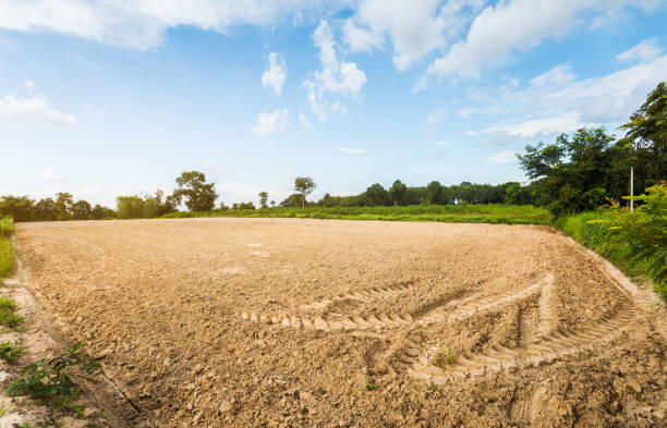 Empty dry cracked swamp reclamation soil, land plot for housing construction project with car tire print in rural area and beautiful blue sky.