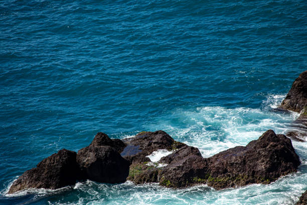 picture taken on Madeira island