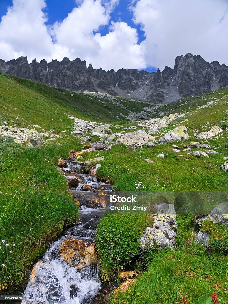 Rapid stream in mountains Adventure Stock Photo