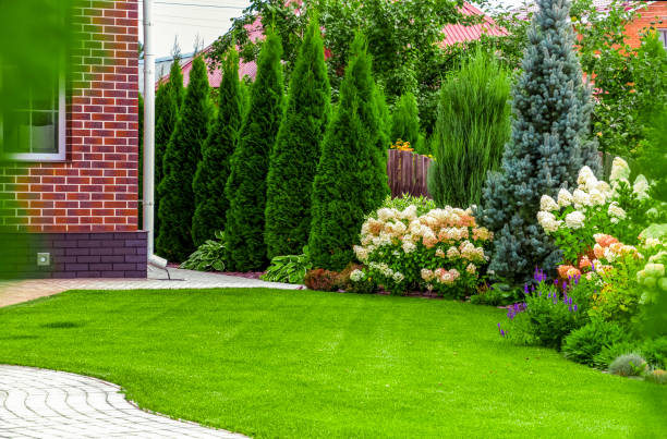 Back yard of a private house Part of the backyard of a private house on a clear summer day. landscaped stock pictures, royalty-free photos & images