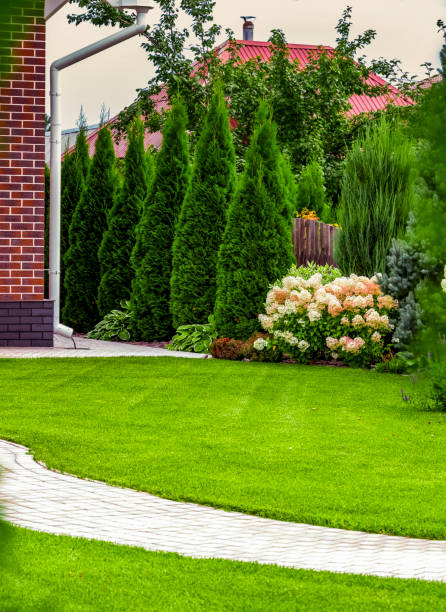 istock Back yard of a private house 1443450476