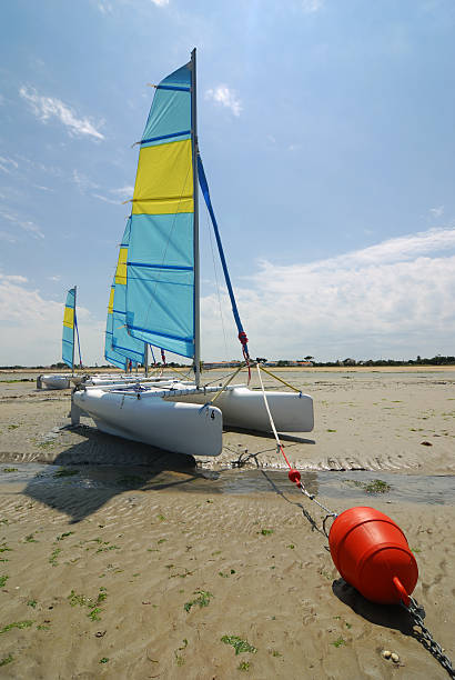 istock Catamaran sailing boats and red buoy 144345201