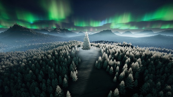 Shining Christmas tree on a hill  in a winter forest against the sky with Arctic lights for a Christmas and New year design