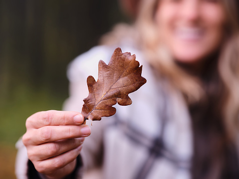 Close up of unrecognizable woman holding a brown autumn leaf in nature.