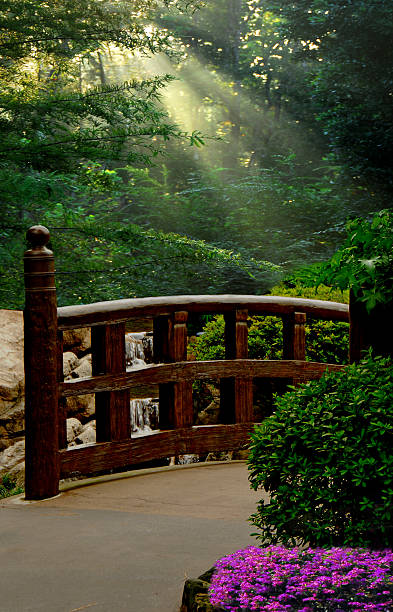 일본식 정원 - bridge wood japanese garden footbridge 뉴스 사진 이미지