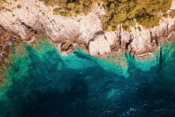 istock Tremiti Island's sea 1443455024