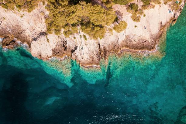 istock Tremiti Island's sea 1443455027