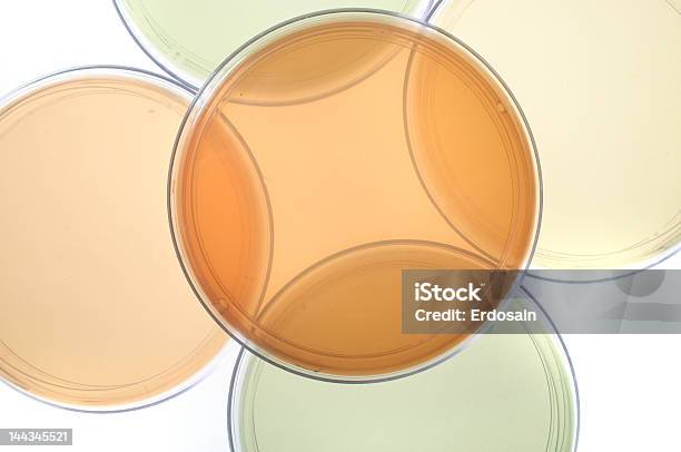 Photo libre de droit de Pétri Pour La Recherche Médicale banque d'images et plus d'images libres de droit de Analyser - Analyser, Bactérie, Biologie