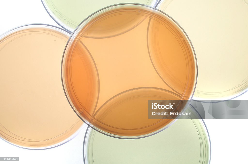 Petri блюда для медицинских исследований - Стоковые фото Анализировать роялти-фри