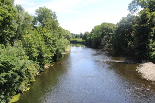 istock Aerial view of a smoothly flowing river surrounded by trees 1443455930