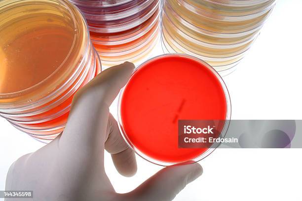 Stacks Of Petri Dishes And A Hand Holding One Stock Photo - Download Image Now - Analyzing, Bacterium, Biological Cell