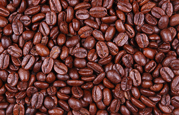 grãos de café - foto de acervo
